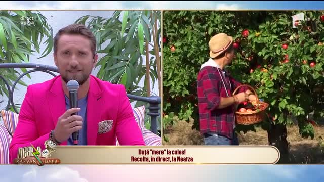 Livada de mere. Cu c&acirc;t v&acirc;nd producătorii kilogramul de mere