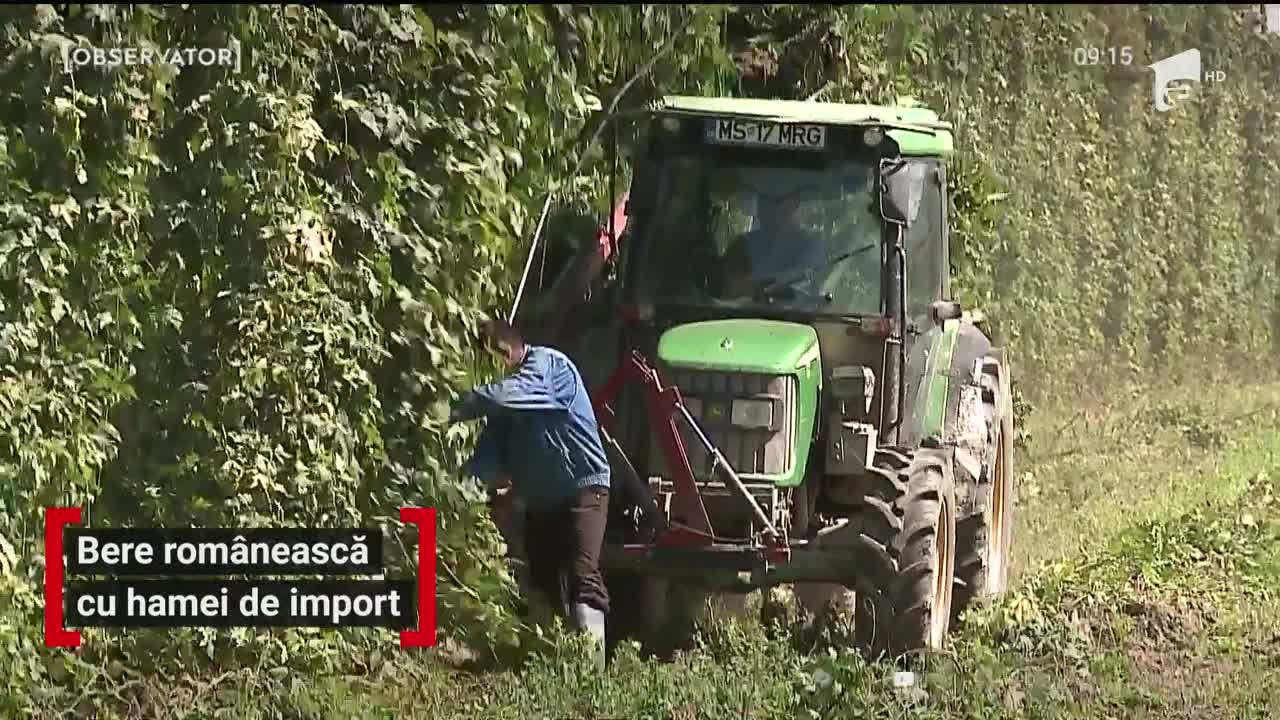 Bere rom&acirc;nească cu hamei de import