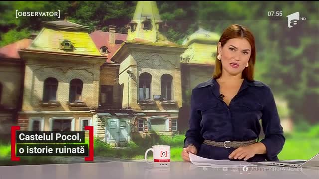 Castelul Pocol, o istorie ruinată