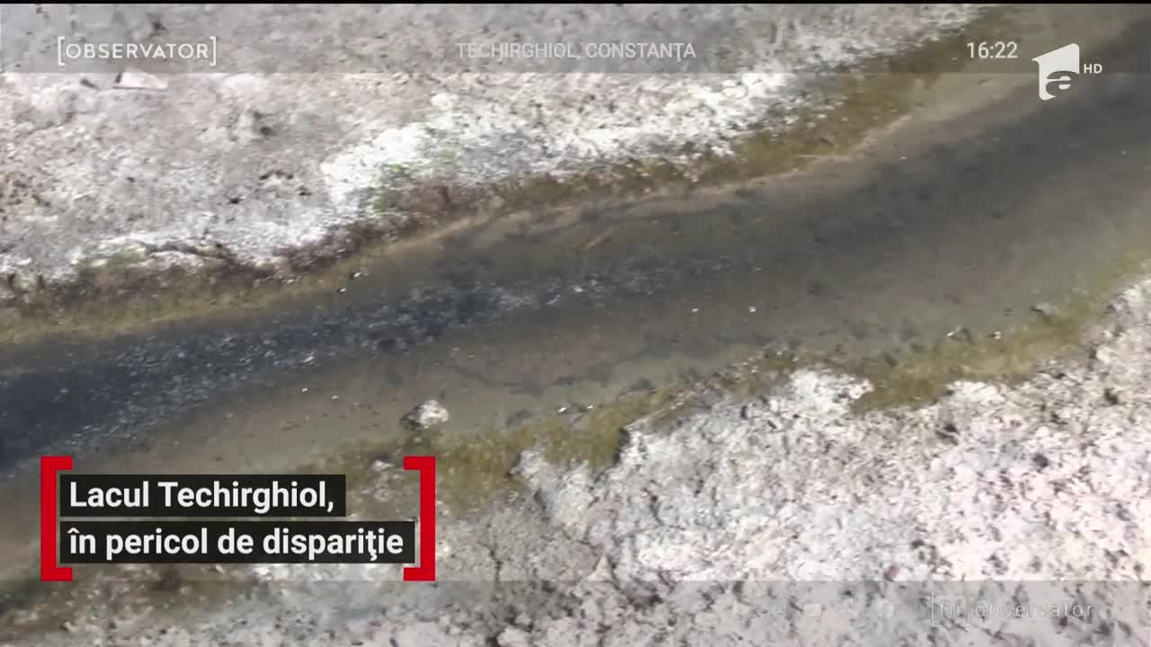 Lacul Techirghiol, &icirc;n pericol de dispariție. Apa a scăzut cu un metru din cauza schimbărilor climatice