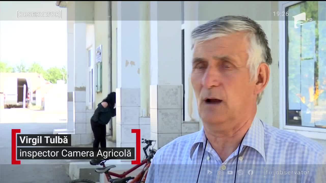 Producem cartofi, dar m&acirc;ncăm din import