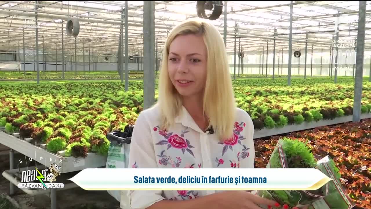 Salata verde, deliciu &icirc;n farfurie și toamna