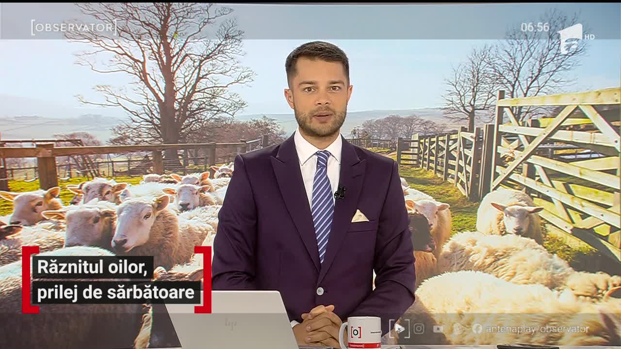 Răznitul oilor, prilej de sărbătoare