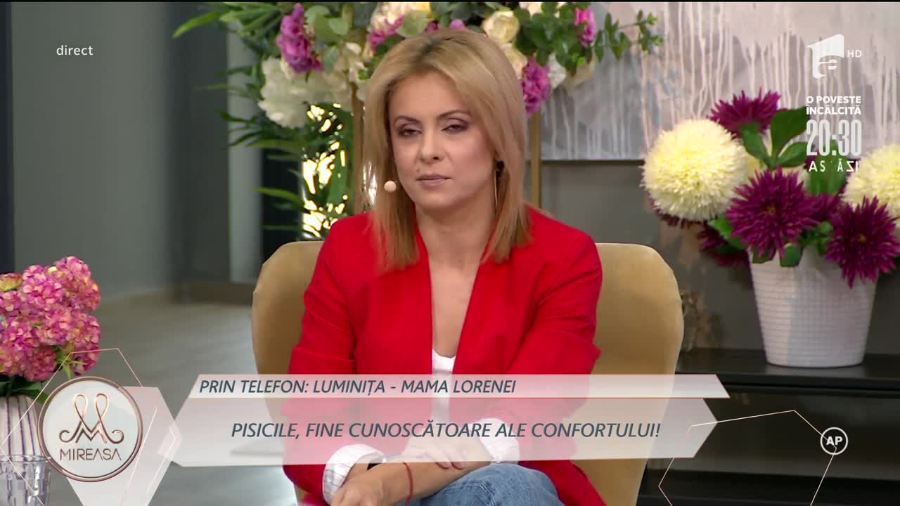 Simona Gherghe, supărată pe Doamna Mia: Dacă mai &icirc;mpingeți o dată motanul, vă pedepsesc!