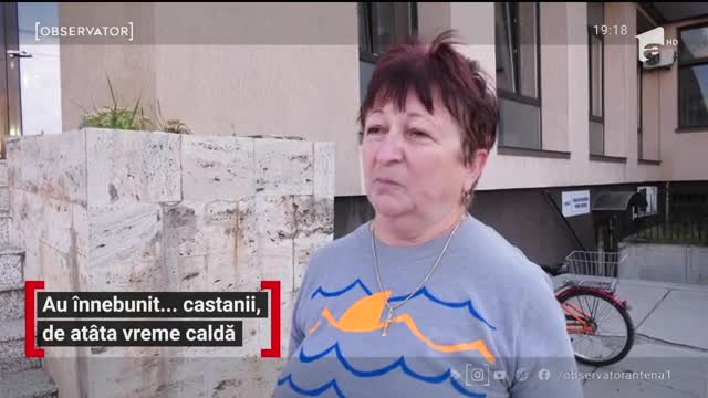 Au &icirc;nnebunit salc&acirc;mii de at&acirc;ta vreme caldă