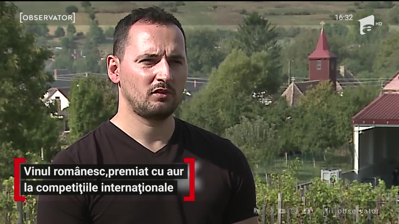Vinul rom&acirc;nesc, premiat cu aur la competițiile internaționale