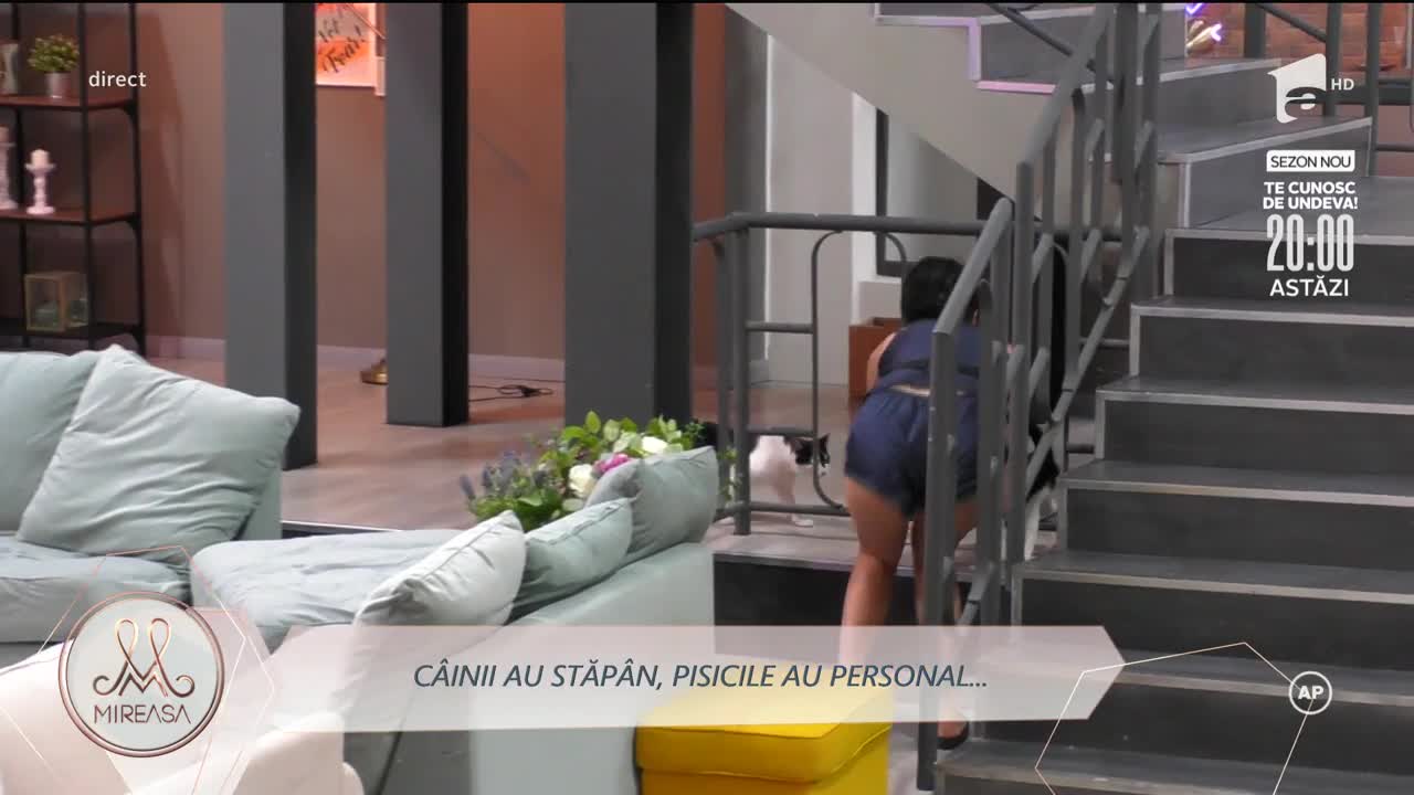 Momente amuzante &icirc;n casa Mireasa! Fetele se bat cu spumă de păr