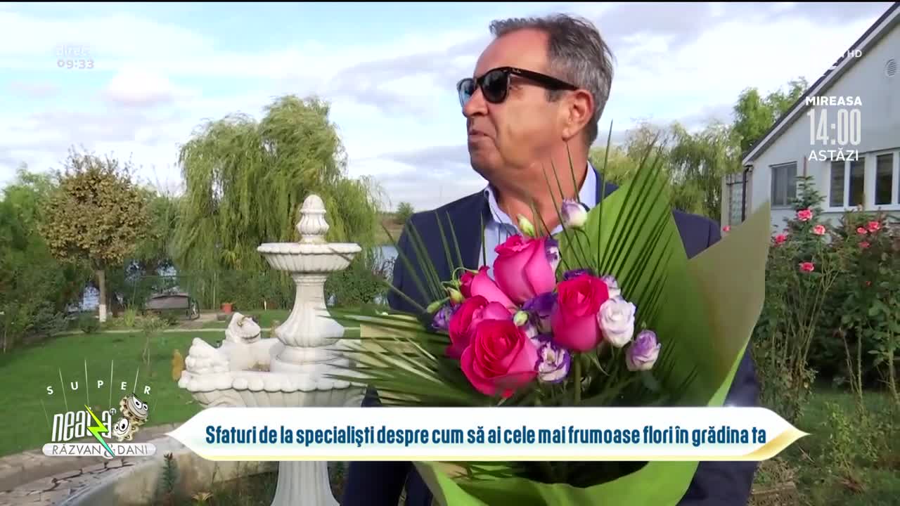 Mica Olanda de la T&acirc;ncăbești. Cum să ai flori frumoase &icirc;n grădină