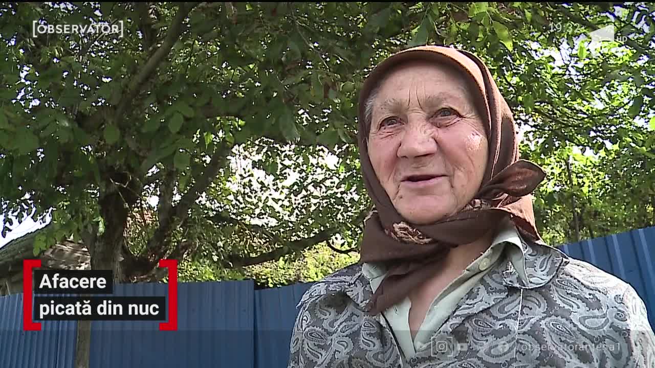 Afacere picată din nuc