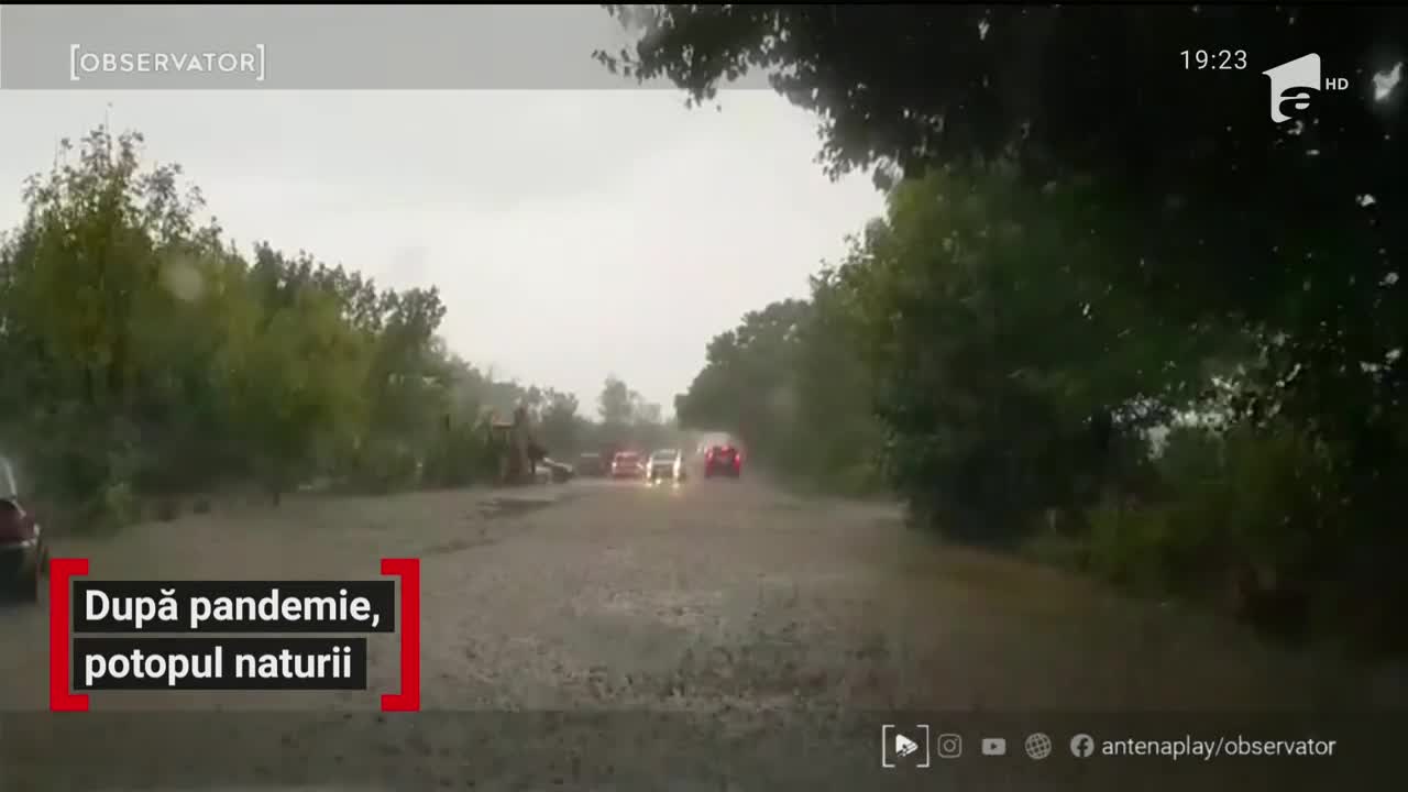 După pandemie, potopul naturii