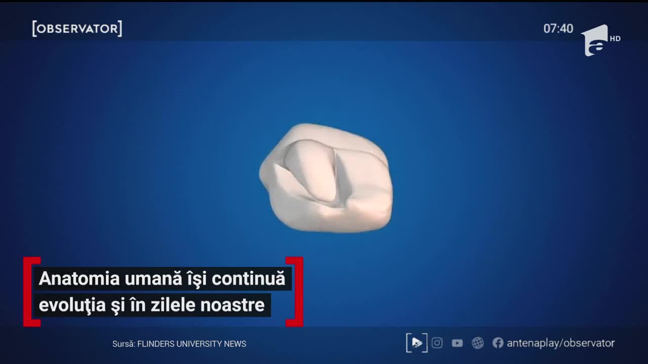 Anatomia umană &icirc;și continuă evoluția mai repede ca oric&acirc;nd