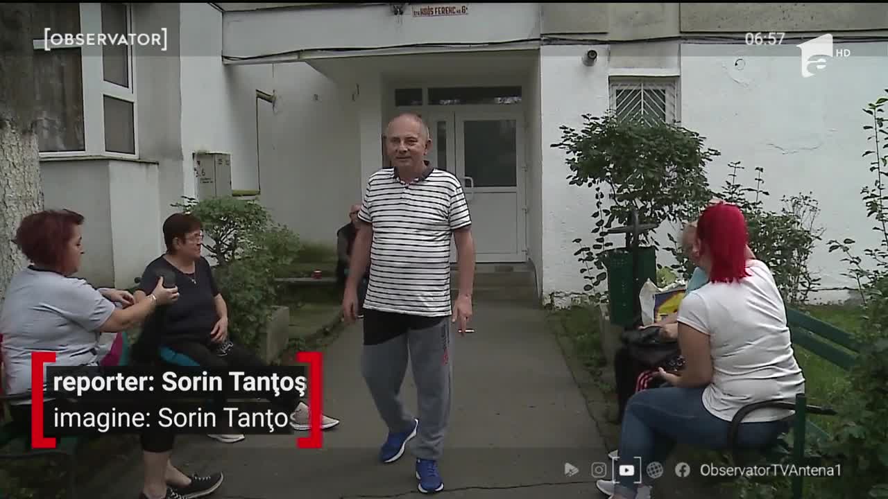 Invazie de ploșnițe &icirc;n T&acirc;rgu Mureş, locuitorii sunt disperați