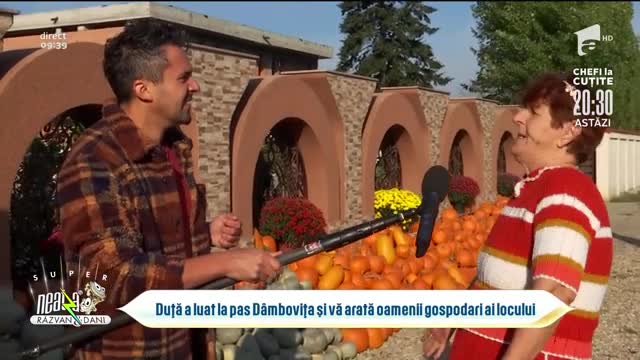 Recolta de toamnă, bogată &icirc;n D&acirc;mbovița! Oamenii gospodari ai locului muncesc de dimineață p&acirc;nă seara