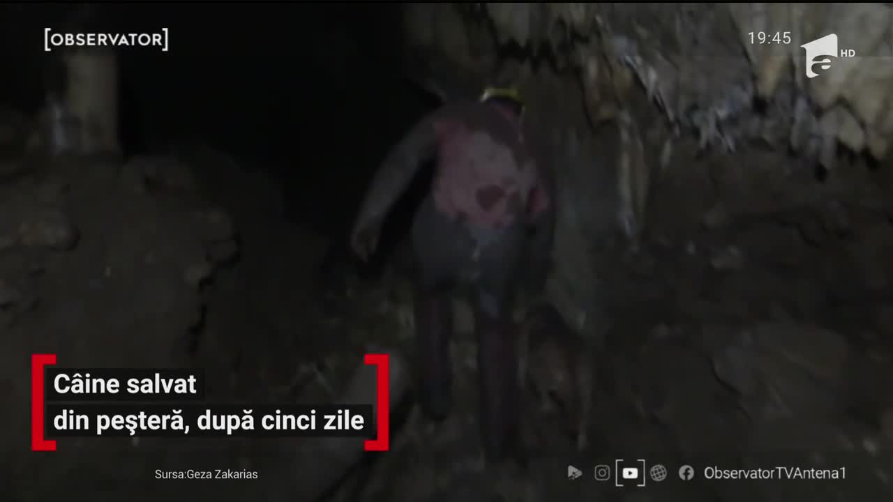 C&acirc;ine salvat din peșteră, după cinci zile