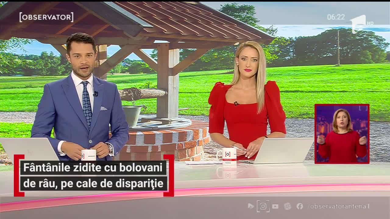 F&acirc;nt&acirc;nile zidite cu bolovani de r&acirc;u, pe cale de dispariție