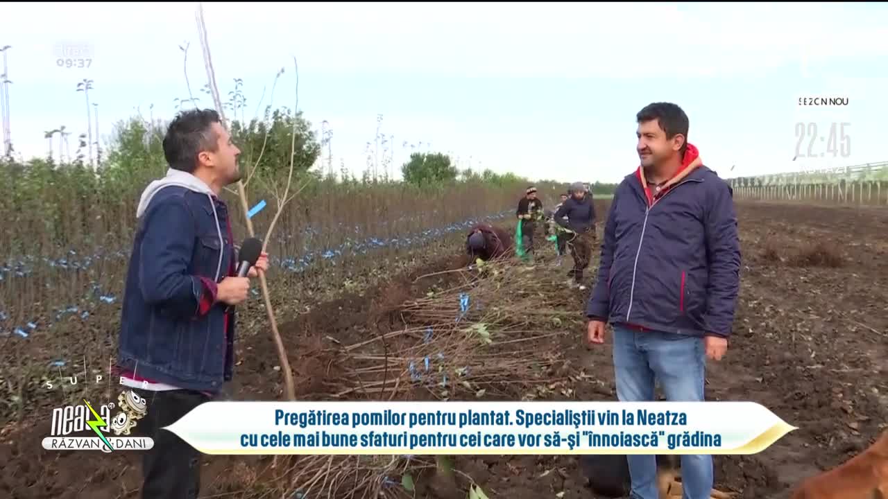 Pregătirea pomilor pentru plantat. Specialiștii vin cu cele mai bune sfaturi pentru cei care vor să-și "&icirc;nnoiască" grădina