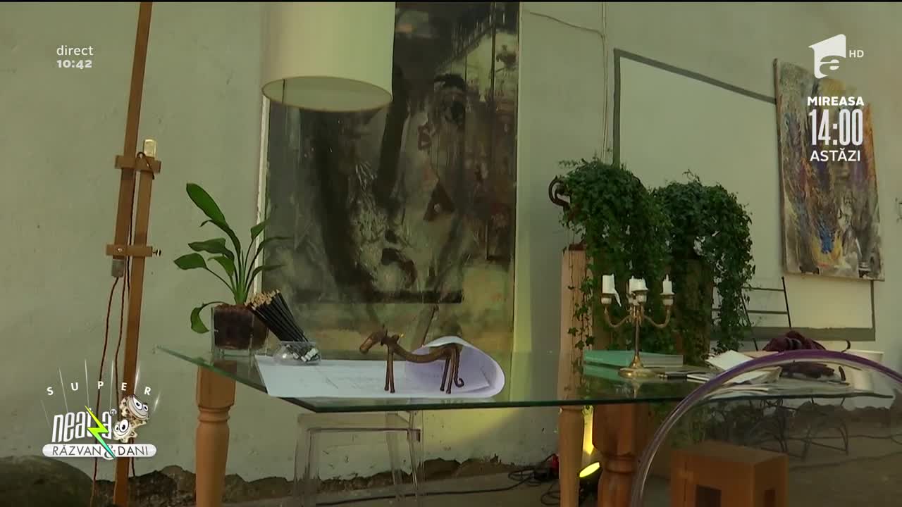 Arta, un loc esențial &icirc;n viața oamenilor. Răzvan Fodor: Am multe locuri luminoase &icirc;n casă unde am flori!