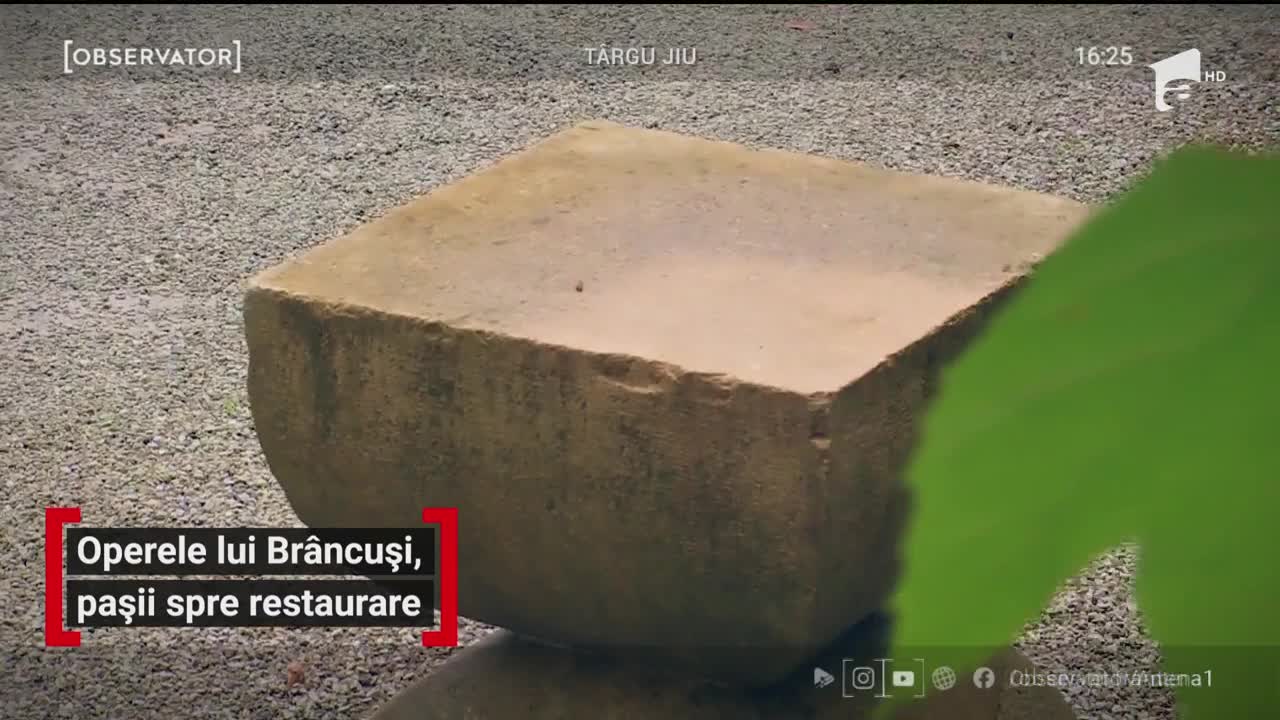 Operele lui Br&acirc;ncuși, pașii spre restaurare