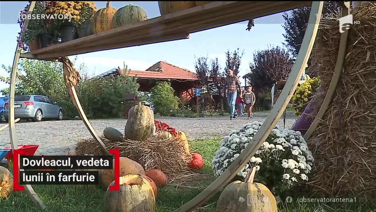 Dovleacul, vedeta lunii &icirc;n farfurie