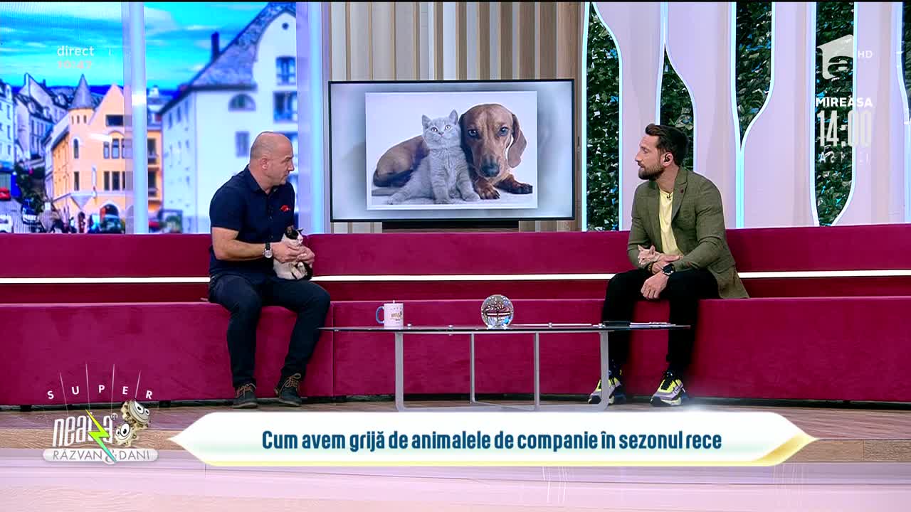 Cum avem grijă de animalele de companie &icirc;n sezonul rece