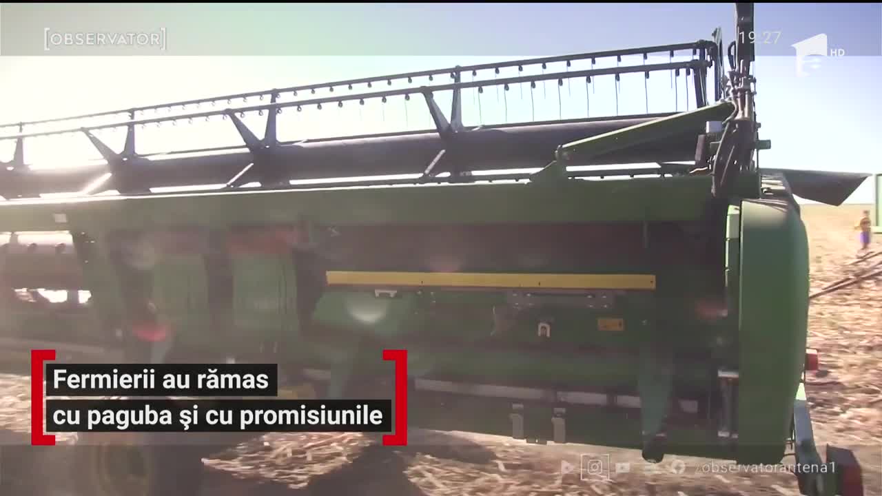 Seceta a ars păm&acirc;ntul. Fermierii avertizează că se va scumpi p&acirc;inea