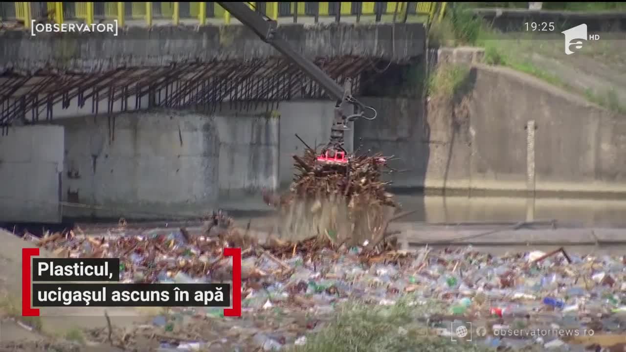 Plasticul, ucigașul ascuns &icirc;n apă