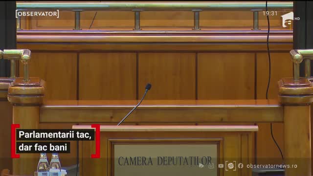 Parlamentarii tac, dar fac bani