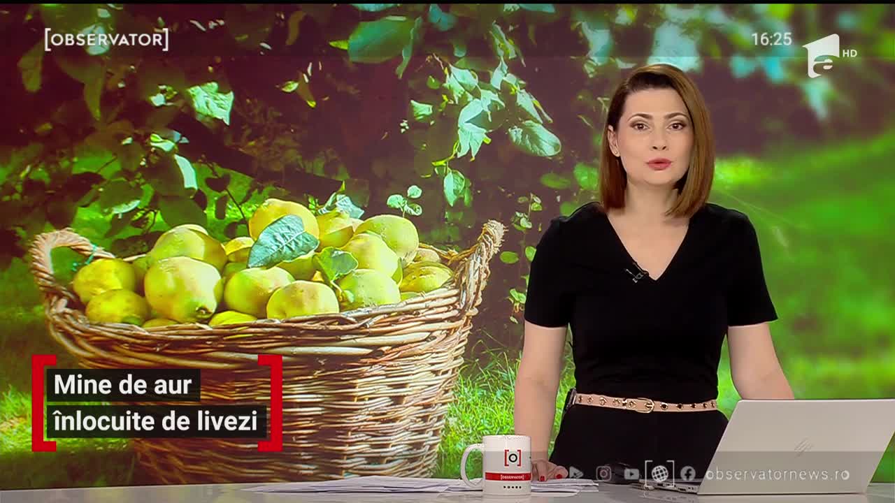 Mine de aur &icirc;nlocuite de livezi