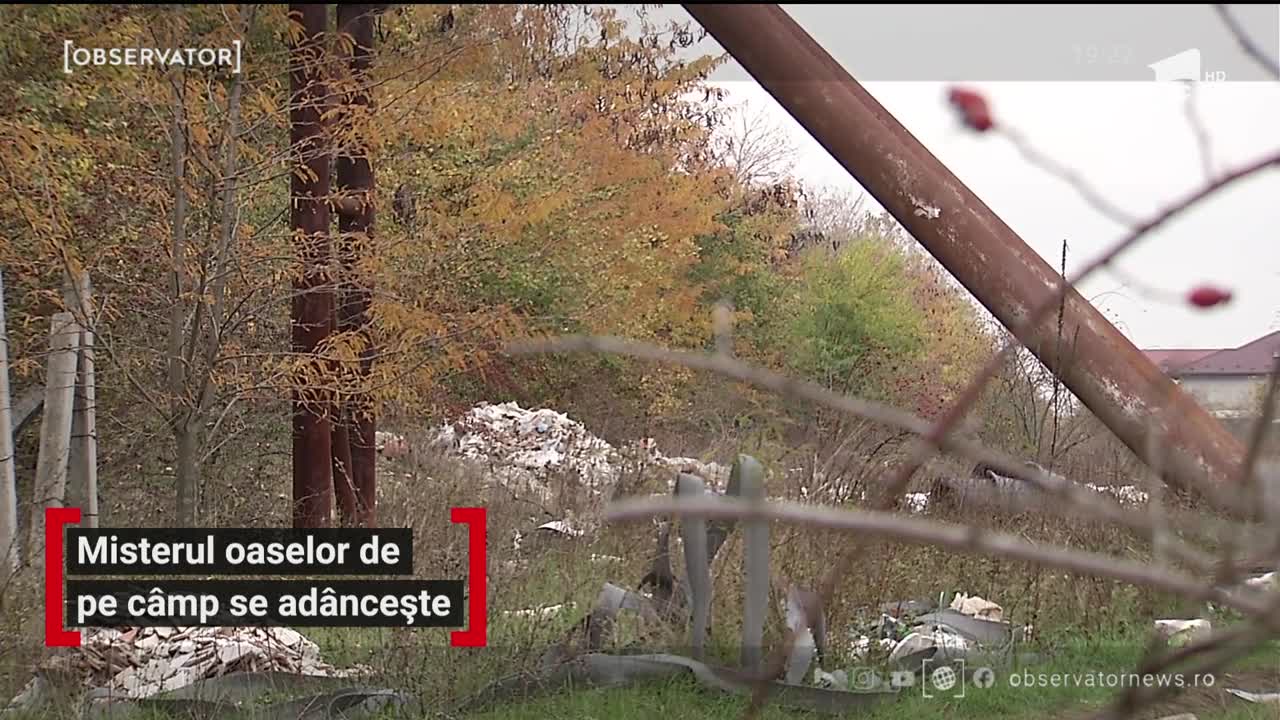 Misterul oaselor de pe câmp se adâncește