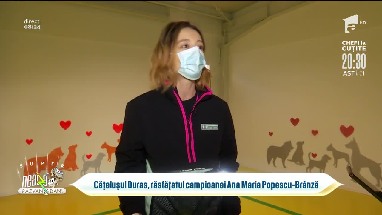 Cățelușul Duras, răsfățatul campioanei Ana Maria Br&acirc;nză, &icirc;n vizită la grădinița de c&acirc;ini