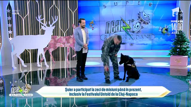 Șuier, spaima traficanților de droguri, la Neatza. Cum sunt antrenați c&acirc;inii polițiști