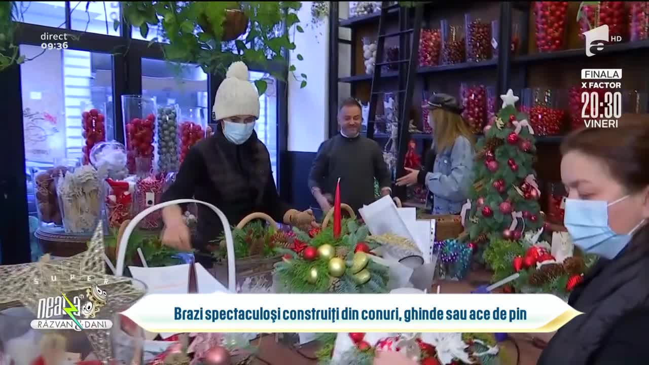 Brazi spectaculoși construiți din conuri, ghinde sau ace de pin