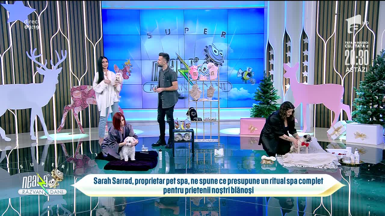 Cum &icirc;ți poți răsfăța animalul de companie la un centru SPA, &icirc;n perioada sărbătorilor