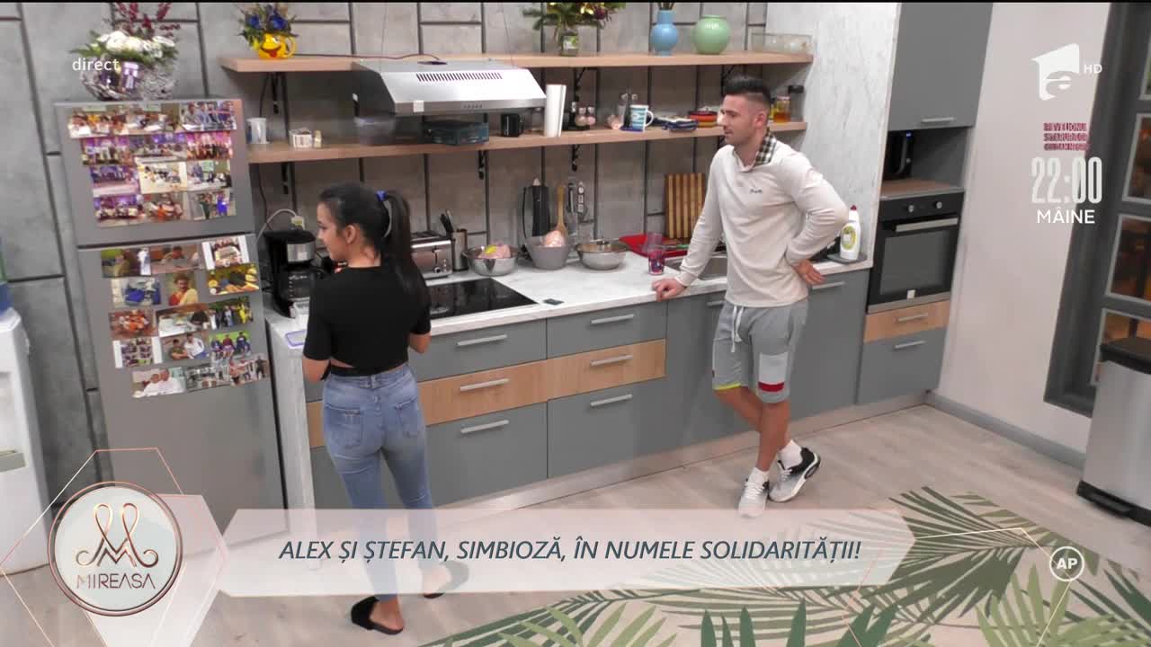 Ștefan și Alex, la v&acirc;nătoare de impresii și adevăruri despre fetele noi din casa Mireasa