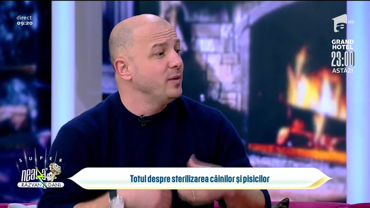 Totul despre sterilizarea c&acirc;inilor și pisicilor