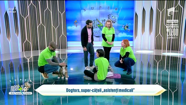 Primii cățeii &rdquo;asistenți medicali&rdquo; din Rom&acirc;nia, la Neatza. Cum sunt dresați