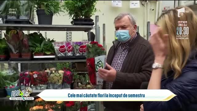 Cele mai căutate flori la &icirc;nceputul celui de-al doilea semestru școlar