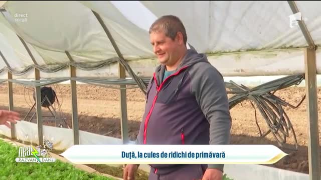 Legumicultorii din D&acirc;mbovița, probleme complicate din cauza pandemiei