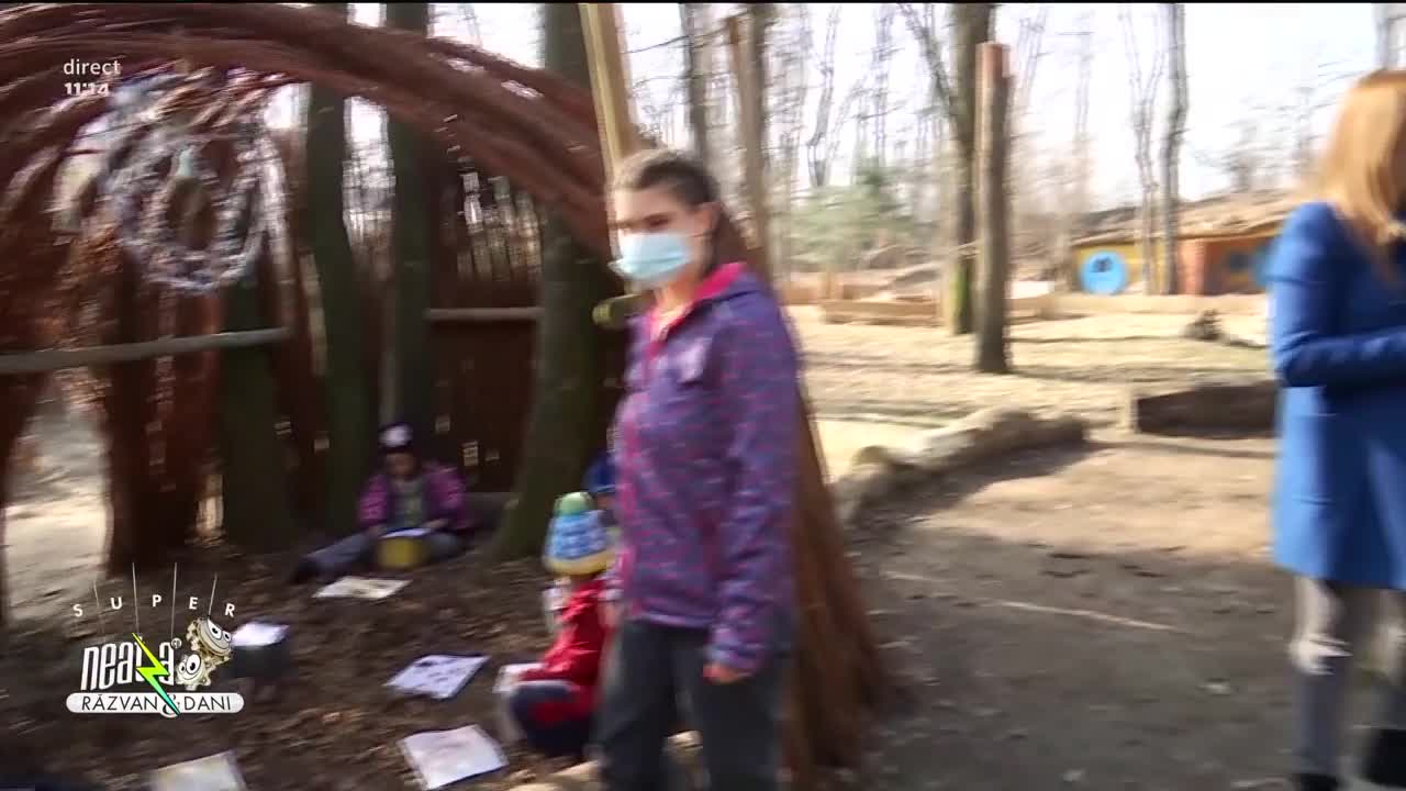 Activități &icirc;n aer liber pentru copiii de la grădiniță