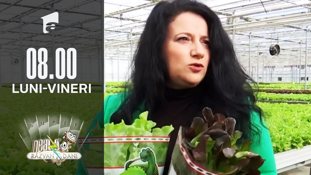 Verdețurile, deliciul sănătos &icirc;n farfurie