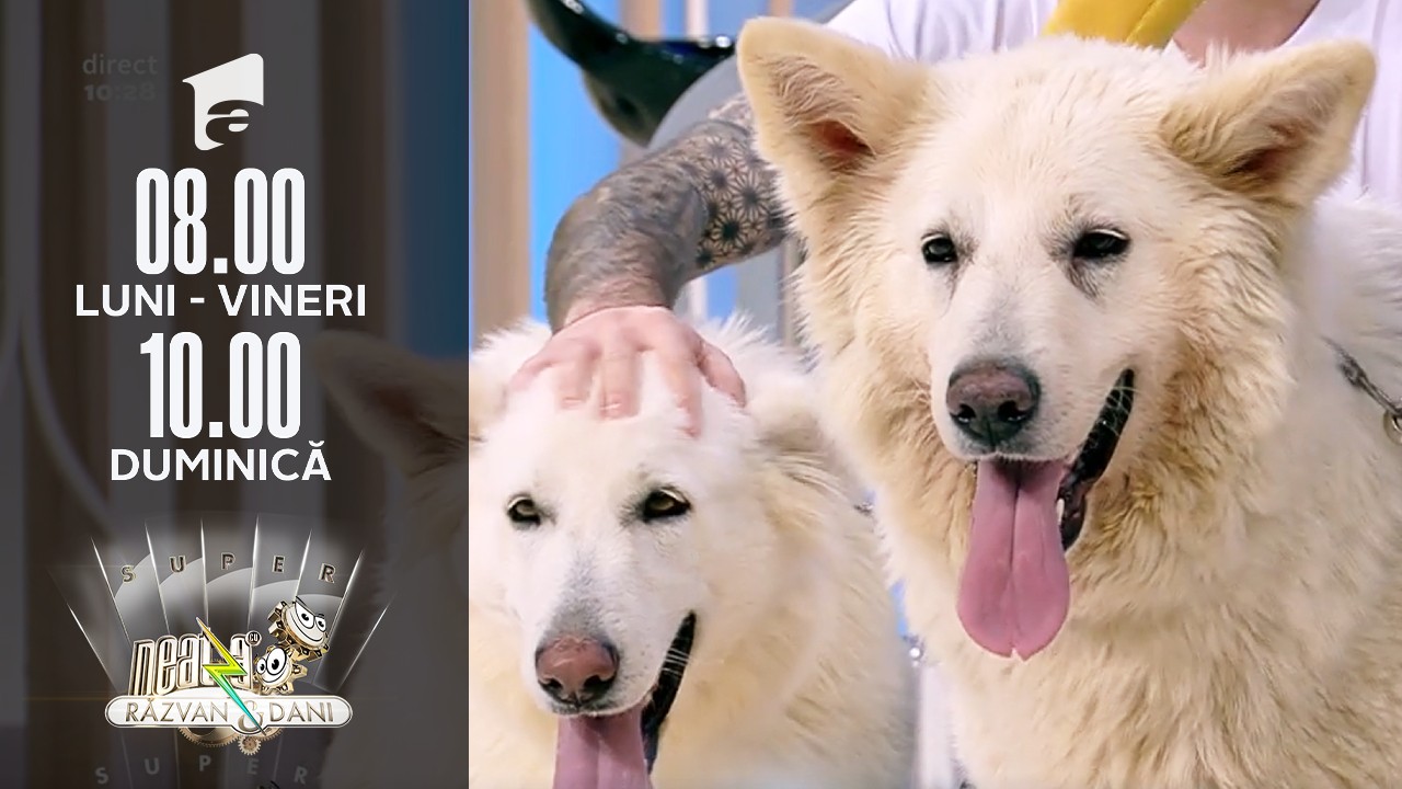 Lupii albi, cei mai buni prieteni ai copiilor