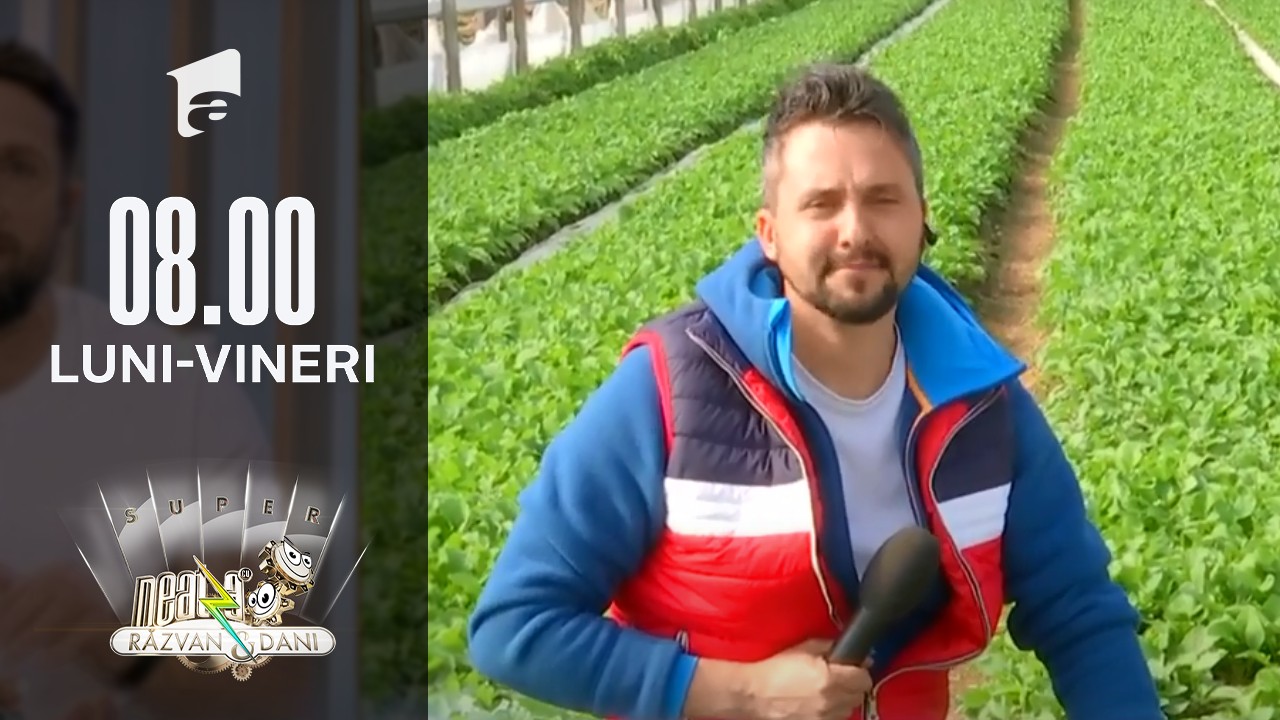 Mix de verdețuri și legume pentru o cură sănătoasă de primăvară