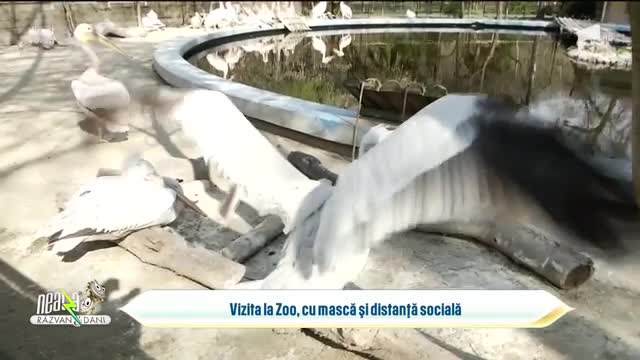 Nu știi ce să faci &icirc;n weekend? Hai la Grădina Zoo din București!