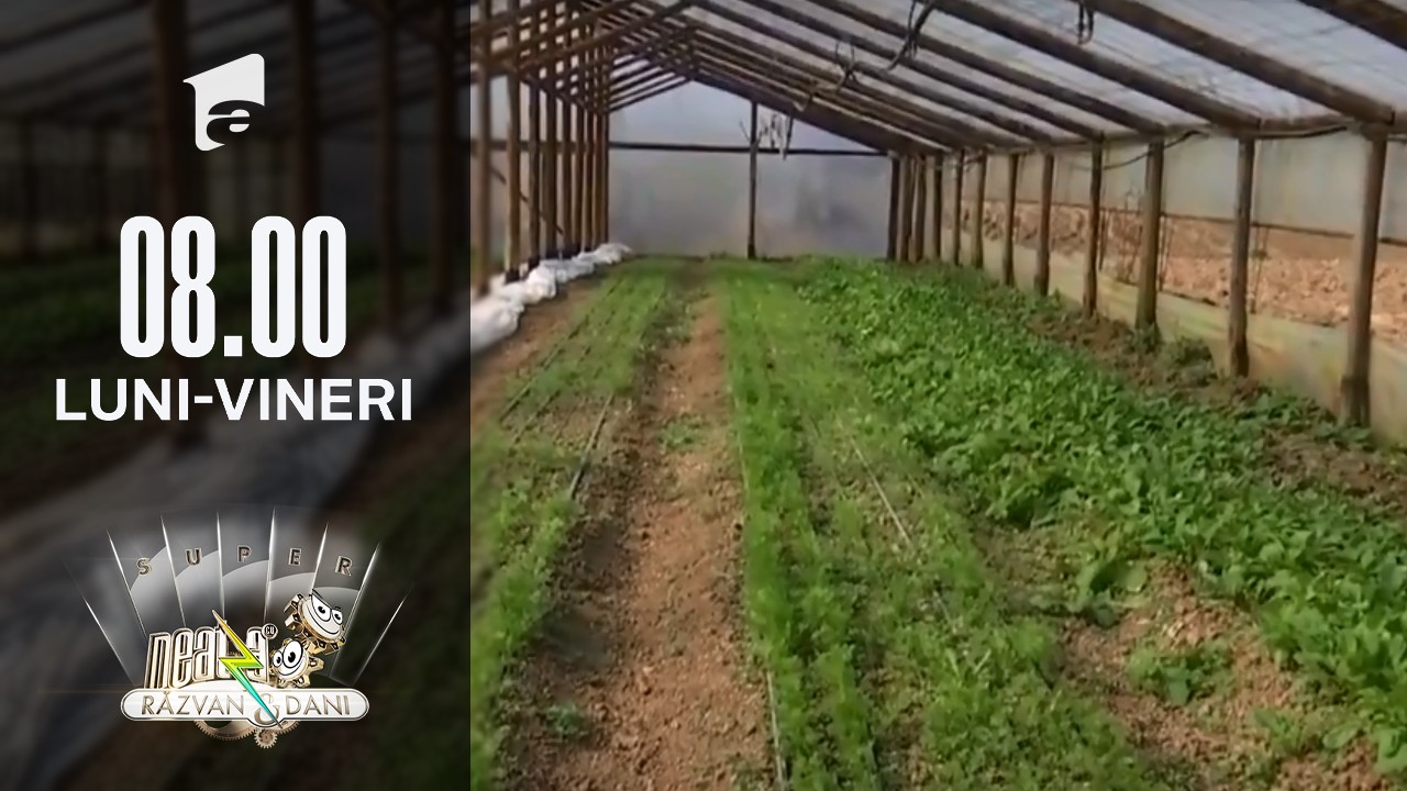 Cum gătim verdețurile de primăvară fără să pierdem din savoare și nutrienți