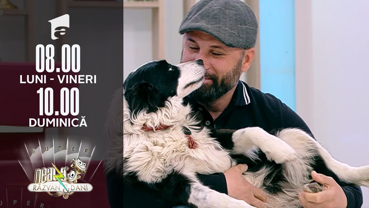 Educația canină. C&acirc;inii &rdquo;asistenți-medicali&rdquo;, ajutor pentru persoanele cu dizabilități