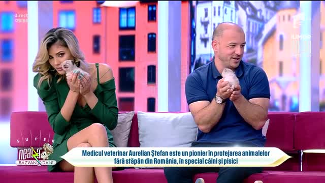 Probleme de sănătate ale puilor de câine și pisică
