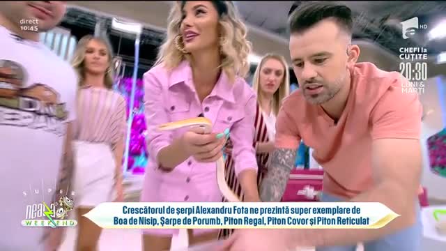 Super expoziție de șerpi, &icirc;n direct, la Neatza de Weekend