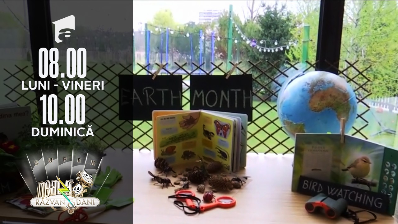 Activități de vacanță &icirc;n aer liber pentru pici, părinți și bunici