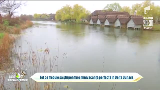 Delta Dunării, destinația pentru o vacanță &icirc;n siguranță