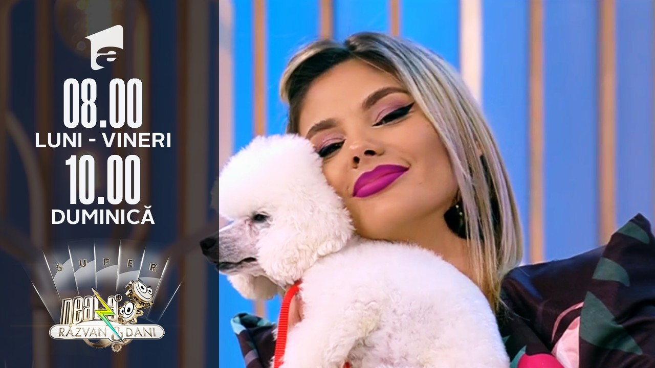 Cei mai pufoși și blănoși căței din rasa Caniche, &icirc;n direct, la Super Neatza